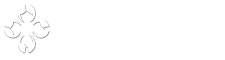 fpv3dcam.com